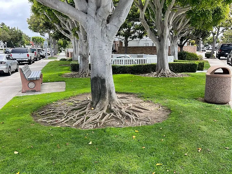1505 E Balboa Blvd #B — Photo 18