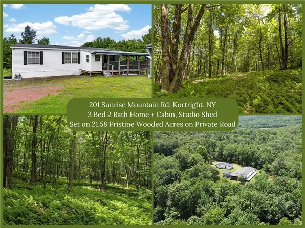 201 Sunrise Mountain Rd, Bloomville, NY 13739