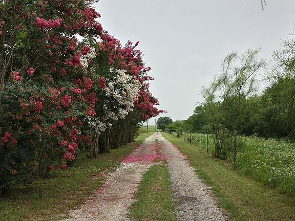 View toward County Road 342