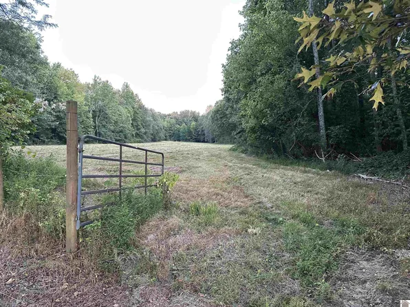 315 Dunaway Ln, Boaz, KY 42027