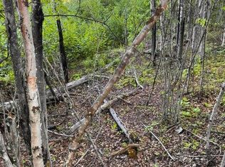 13957 W Aero Ln, Wasilla, AK 99623