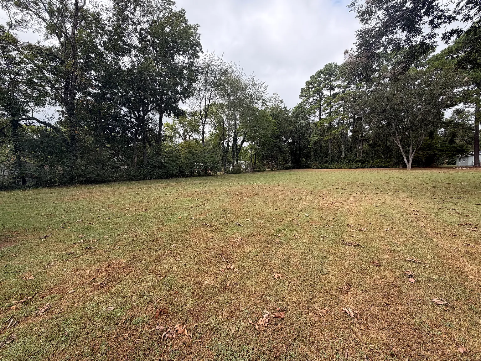 2 bed, 875 sqft, $1,100 — Photo 4
