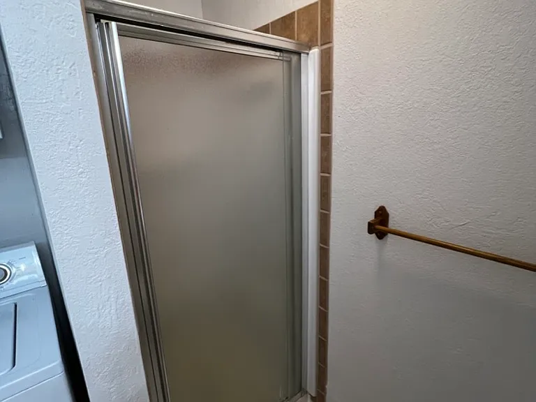 Downstairs Bathroom Shower