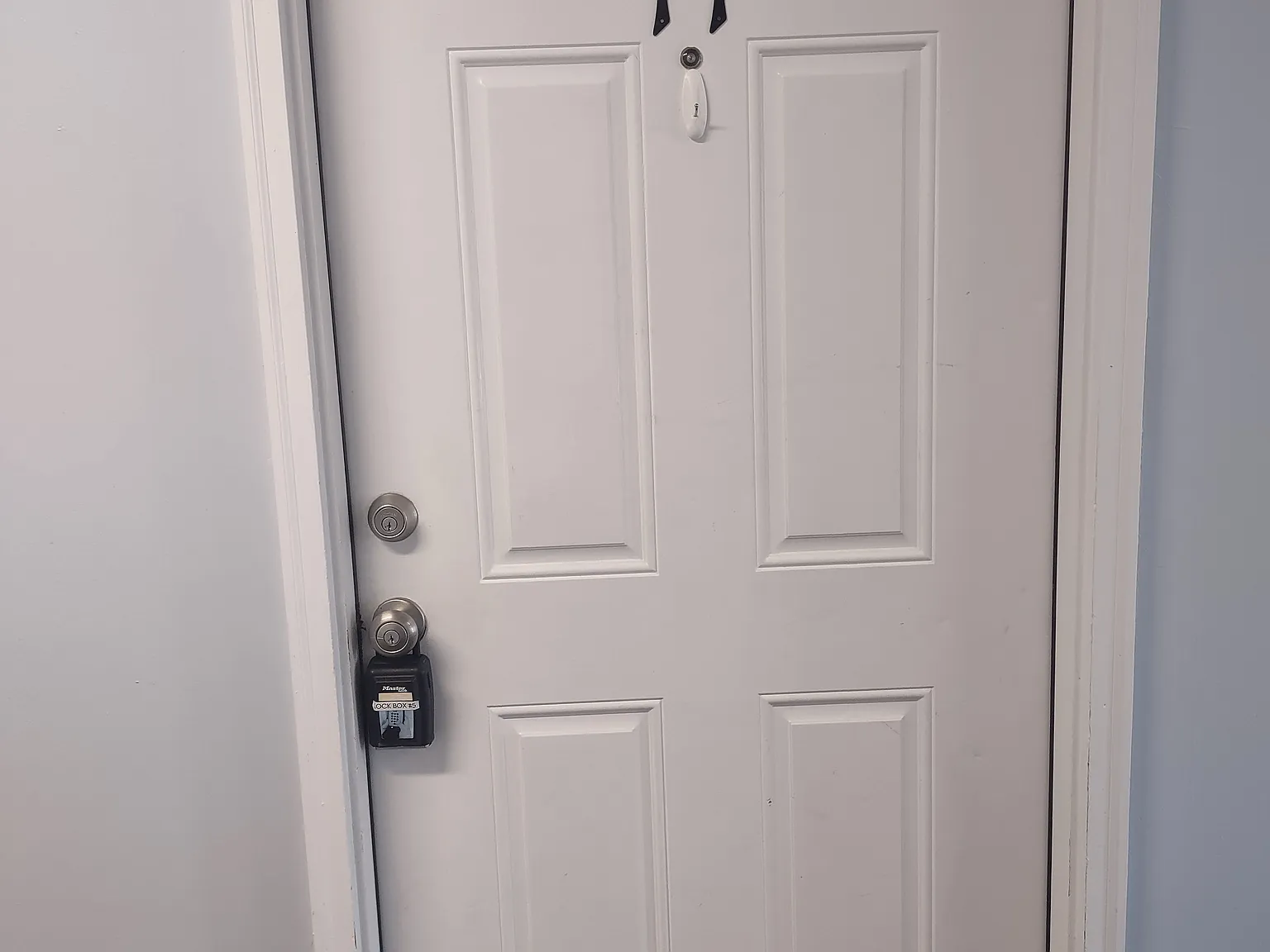 1 bed, $800 — Photo 1