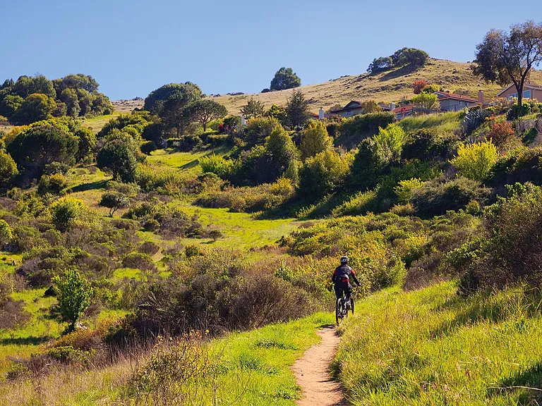 Enjoy amazing hiking and biking trails right in your backyard located on Ring Mountain.