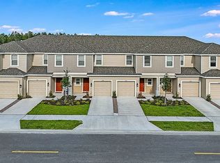 111 Hallier Cv, Wesley Chapel, FL 33543