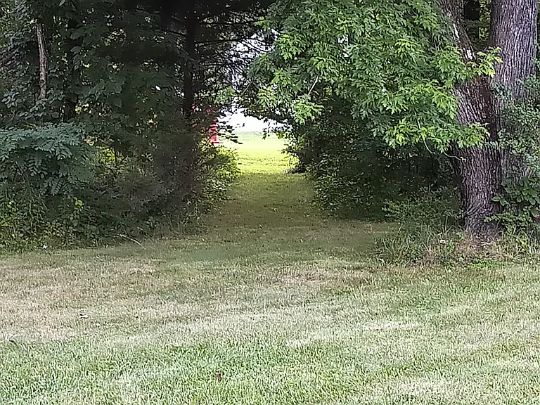 Burnt Acres Ct — Photo 14