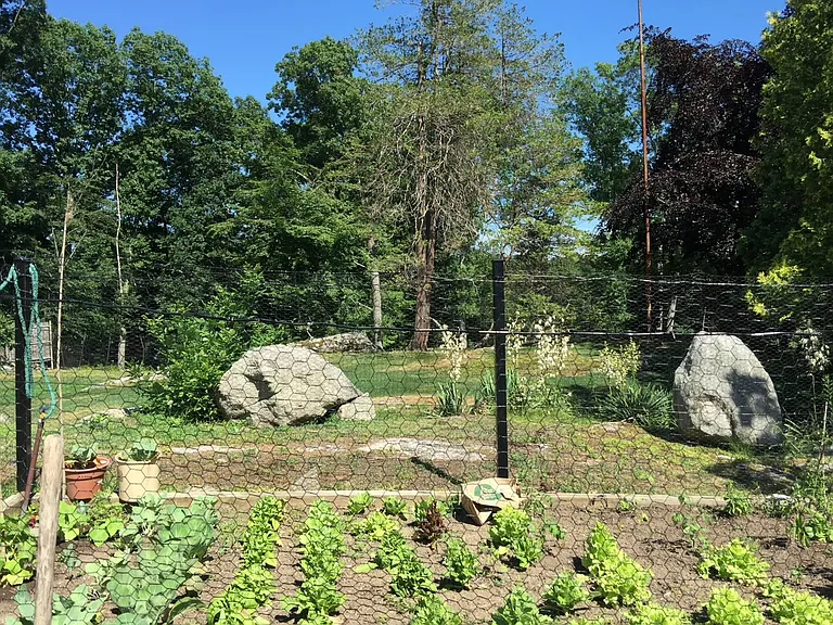 Vegetable and flower garden