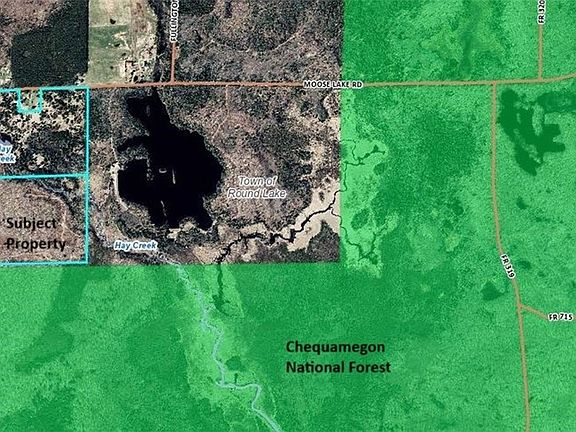 2nd image of 9729 W Moose Lake Road