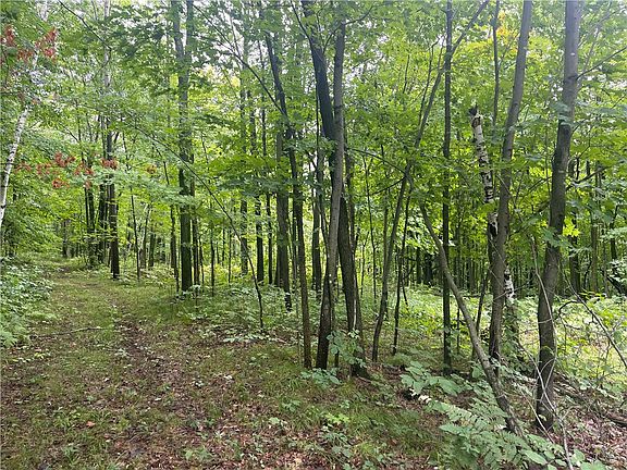 5th image of 00 County Road B
