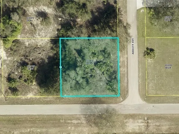 4307 E 20th St, Alva, FL 33920