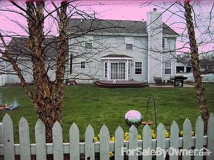 BACKYARD VIEW
						:
						BIRCH TREES & PERENNIALS