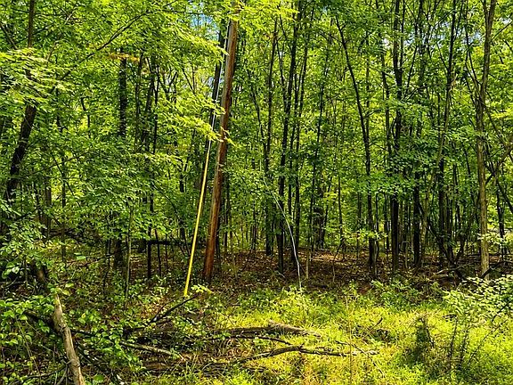 4th image of 903 Pin Oak Rd