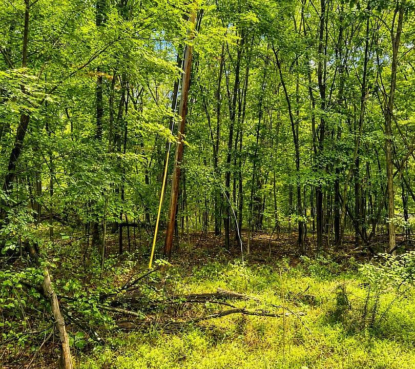 4th image of 903 Pin Oak Rd