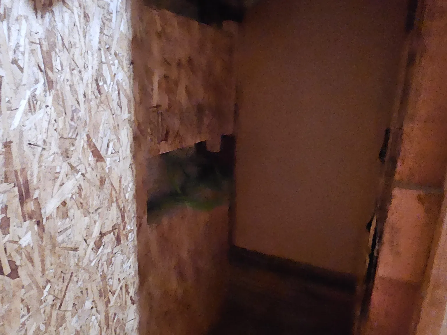 1 bed, 800 sqft, $1,300 — Photo 2