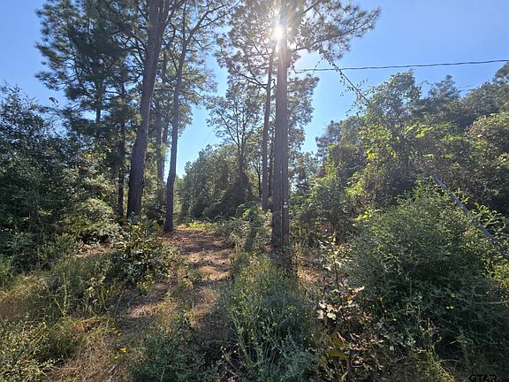 5th image of 57117 County Road 3325