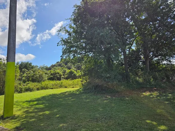 Bo Celada Sector, Gurabo, PR 00778