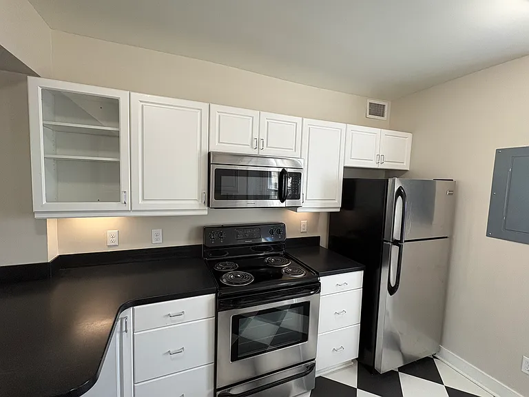 3910 Cass St #205 — Photo 8