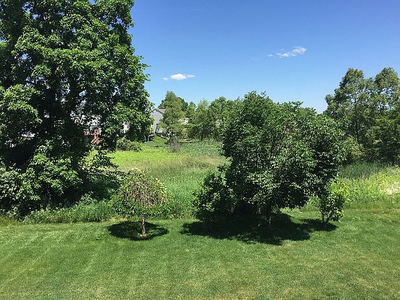 Deck Views
