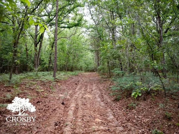 0 Stonewall Jackson Rd, Wagener, SC 29164