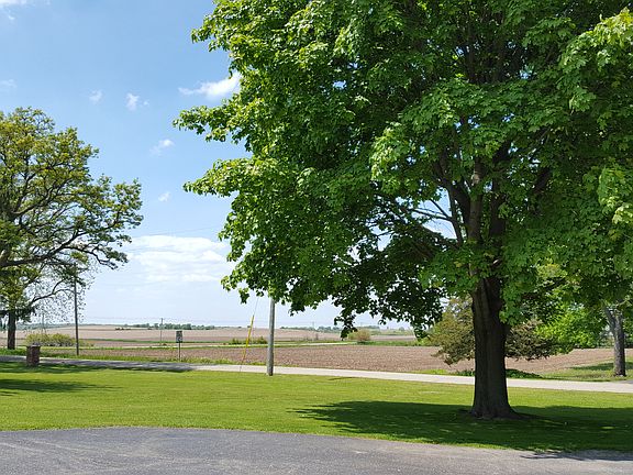 View from Kitchen Window