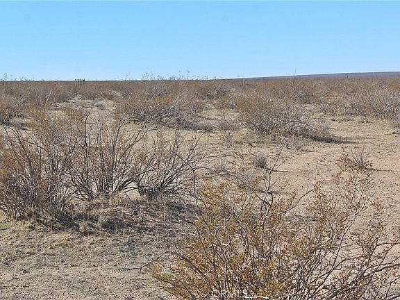 5th image of 112 Off Hwy #395