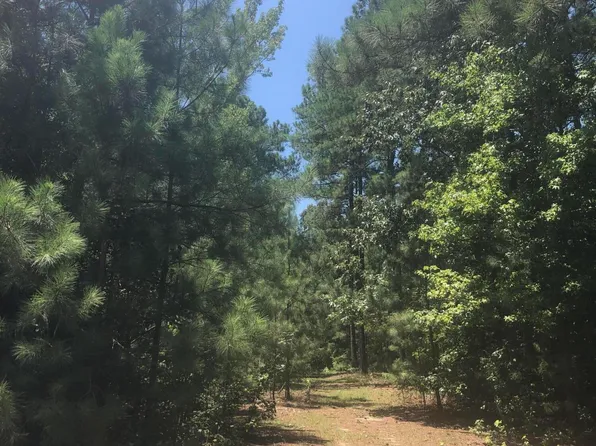 297 N Horace Walters Road, Raeford, NC 28376