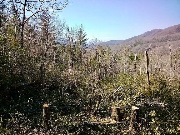 2nd image of LOT 22 Deer Ln