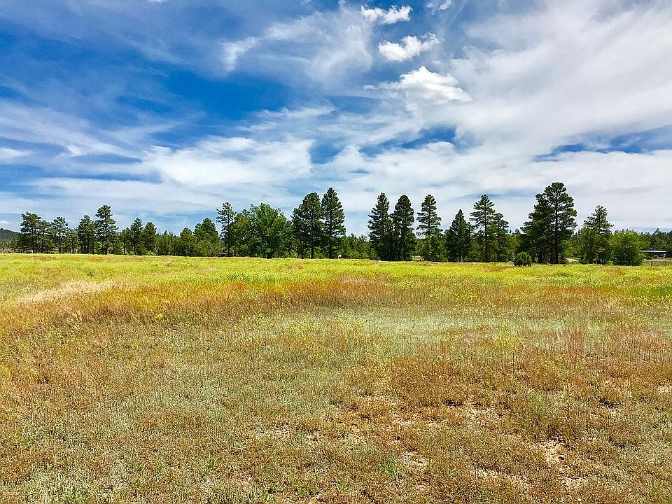 5485 Ripley Ln, Pinedale, AZ 85934 Zillow