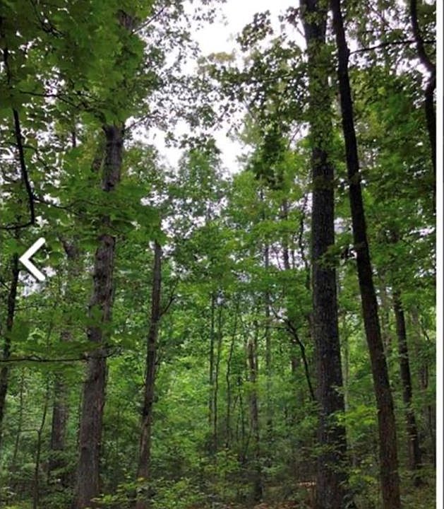 2nd image of 0 Hall Rd Tract 1
