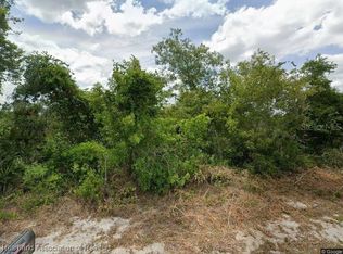 479 Coolidge Ave NE, Lake Placid, FL 33852