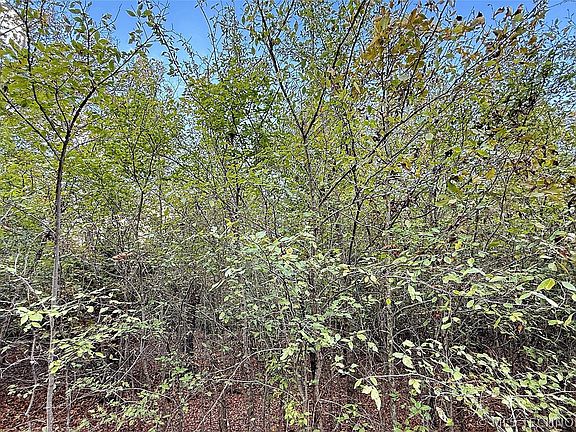 3rd image of 2 S 4531st Rd