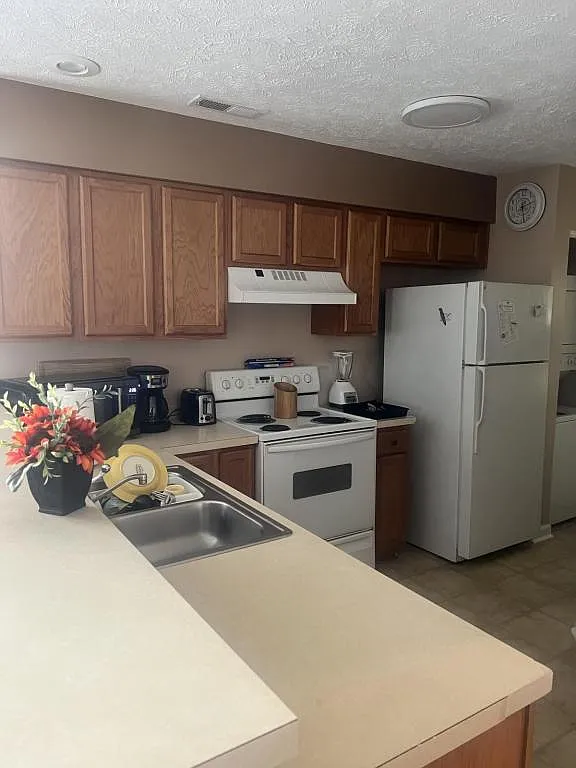 549 White River Dr — Photo 3