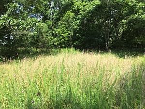 4th image of 4971 Salles Dr N
