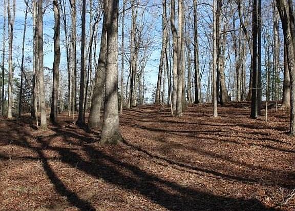 4th image of 6923 Hickory Springs Dr