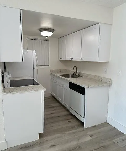 The Palms Apartments — Photo 50