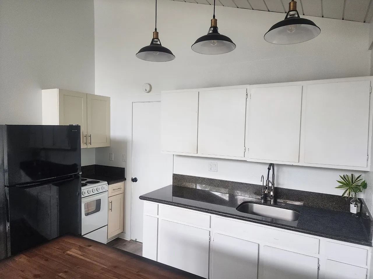 1 bed, 950 sqft, $3,200 — Photo 4