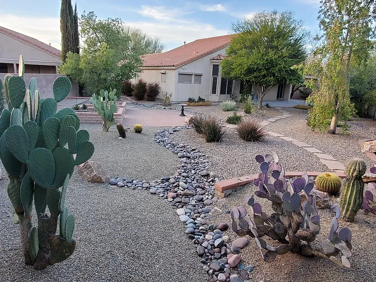 Back Yard