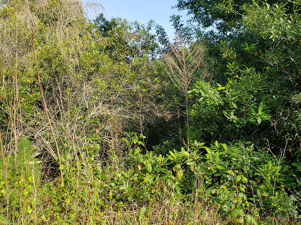 2nd image of 2106 Pinegrove Cir