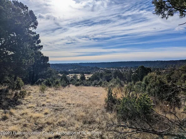 104 Elderberry Ln, Alto, NM 88312