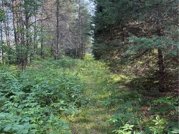 0 Tagalder Trail, Hayward, WI 54843