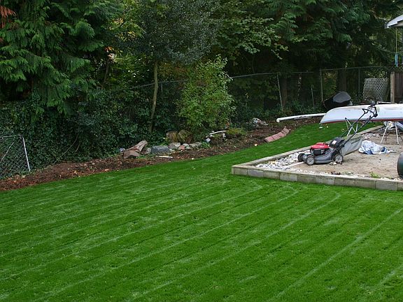 Another back yard view