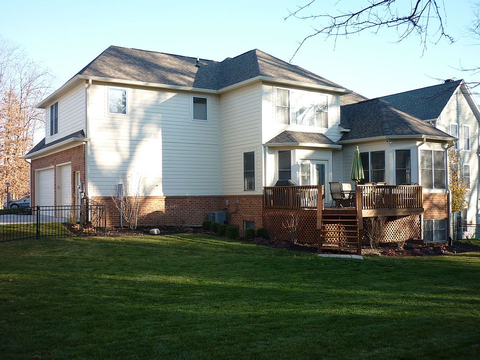 Wooded backyard