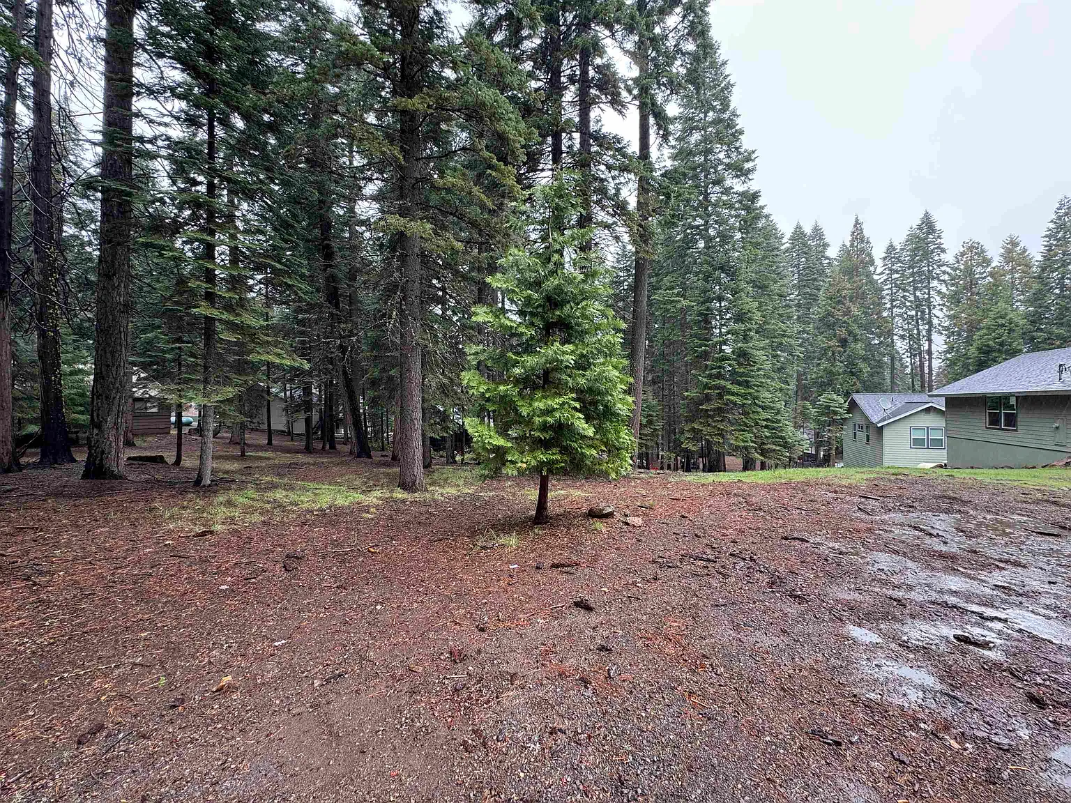 1210 White Fir Trl photo 1