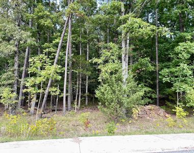 6 Big Pine Ct, Batesville, AR, 72501