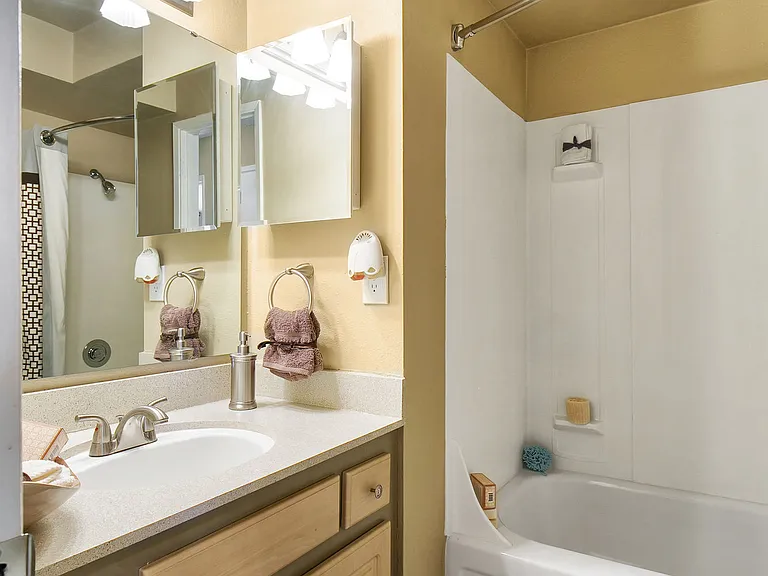 Classic Finish - Bathroom