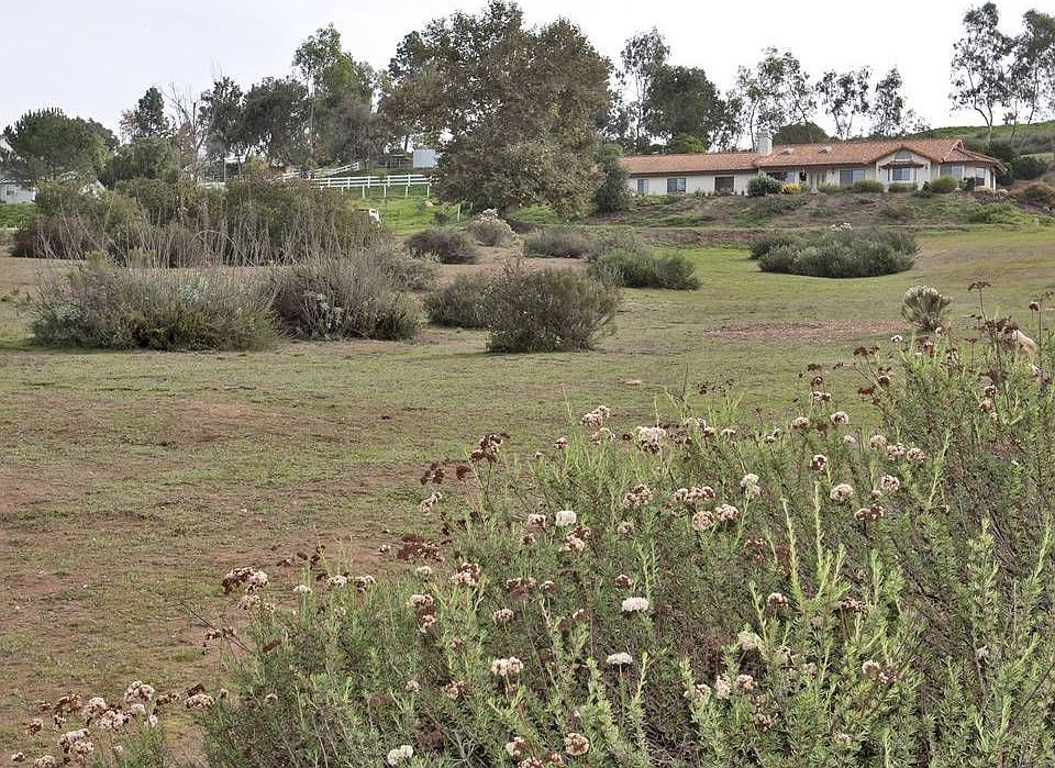 Over 2 acres ... mostly useable!