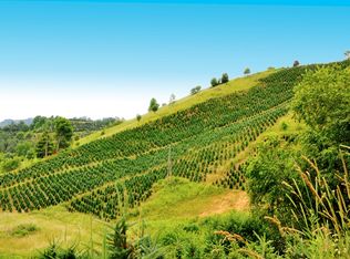 Spencer Branch Rd, Lansing, NC 28643