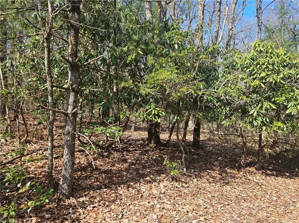 Mount Retreat Rd Lot 21, Roaring Gap, NC 28668