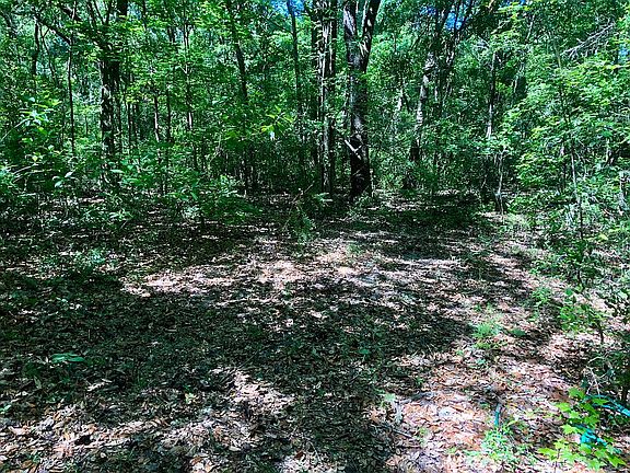 5th image of 24426 NW County Road 1493
